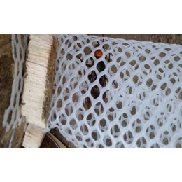 邦盾5mm白色纯料塑料养殖网 塑料养蜂网 