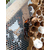 邦盾5mm白色纯料塑料养殖网 塑料养蜂网 缩略图3