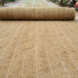绿化草毯 椰丝护坡草毯 天然防冲刷 山水林田湖草毯护坡草毯