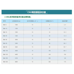 CMJ除铁除锰净水器-江苏新天煜-CMJ除铁除锰净水器哪家好