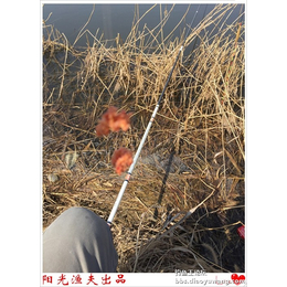 湖北*王渔具公司(查看)-海竿打窝方法