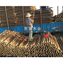 宣城东诚木业(图)-杉木桩护坡-上海杉木桩