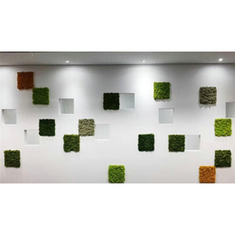 室内绿植墙效果图-永春绿植墙效果图-美尚园艺*承接安装