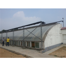  日光温室大棚设计 双跨日光温室尺寸 常年承接各种温室工程