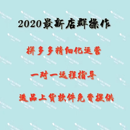 拼多多采集上货一键拍单软件贴牌代理店群工作室加盟