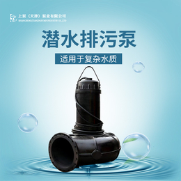 水泵处理设备QK不锈钢潜水泵