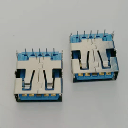 USB 3.0母座 9P 两鱼叉脚直边蓝色胶芯 