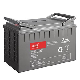 山特蓄电池C12-200 UPS*蓄电池