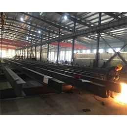 钢结构生产厂家-安徽牛势(在线咨询)-铜陵钢结构