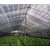 中山遮荫网出售-茂名生利塑料厂家-农用遮荫网出售缩略图1