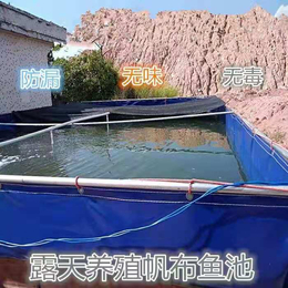  对虾养虾养殖池 PVC帆布水池工厂化养殖鱼虾*性8-10年