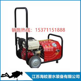超高扬程森林消防泵推车式森林消防泵便携式高压泵QSB40