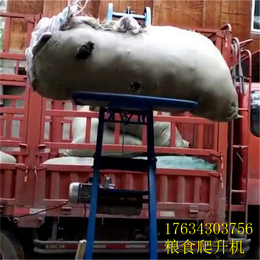 武威3.6米小吊机粮食提升机种子袋装