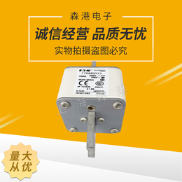 巴斯曼熔断器170M5013全新现货*690 v