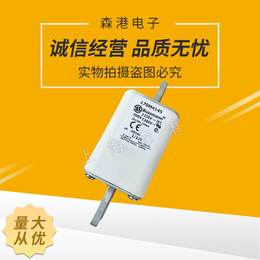 巴斯曼熔断器170M4145全新现货*690v