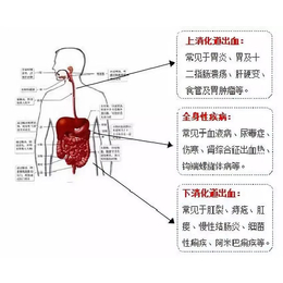 合肥医博肛泰*好不好 是时候公开 *的20个真相