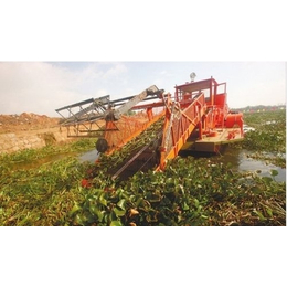 青州东方环保机械(图)-黑藻打捞船机械厂-黑藻打捞船