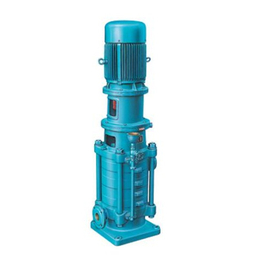 强盛泵业-DL型多级离心泵配件-张家界DL型多级离心泵
