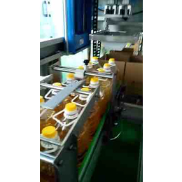 乌兰察布自动装箱机-青州鲁泰饮料机械-自动装箱机价格
