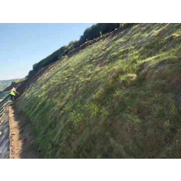 阳江植物纤维毯护坡 高速公路边坡防护植物纤维毯 耐冲刷防护好