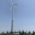 山西水平轴2kw养殖*风力发电机-风力发电机厂家缩略图3