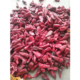 农瑞丰(图)-鲁红八号辣椒种子价格-衡水鲁红八号