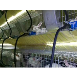 铁丝兔子笼厂家-云蒙湖笼具厂欧式兔笼-铁丝兔子笼厂家价格