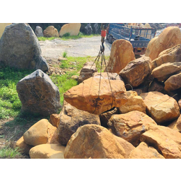 湛江石场出售大量天然原石吨位黄蜡石
