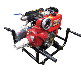伊藤2.5寸汽油机消防泵YT25GB