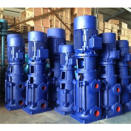 强盛泵业-DL型立式多级泵价格-宁德DL型立式多级泵