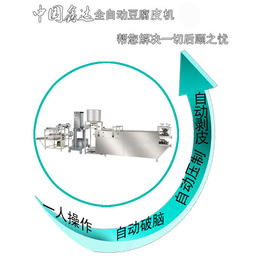 连云港供应豆腐皮机现场挑款式 自动豆腐皮小型 豆腐皮厂家