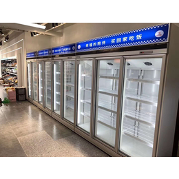 郑州立式冷冻柜双门三门立式冷冻柜定做批发