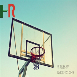 北京体育用品儿童篮球架