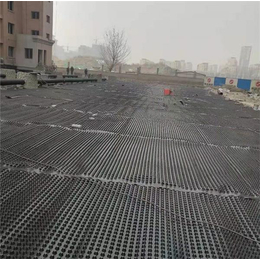 屋顶种植排水板厂家*-屋顶种植排水板-东诺工程材料