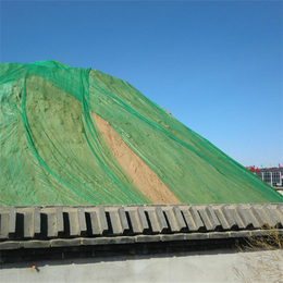 绿化盖土网 建筑用盖土网 遮阳盖土网现货供应
