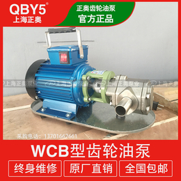 上海正奥WCB型<em>手提</em>式齿轮油泵 铸铁柴油油泵