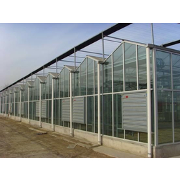玻璃温室大棚的建造-信阳玻璃温室大棚-【诺博温室大棚】