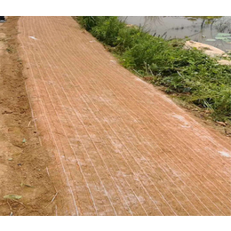 芜湖河道生态绿化毯 椰丝植被毯 河道护坡绿化植被毯