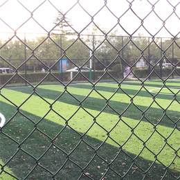河南防护网厂家 现货体育场围网 绿色操场护栏网仁久球场围网