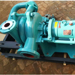 新楮泉泵业公司-ZJW150-250压滤机喂料泵