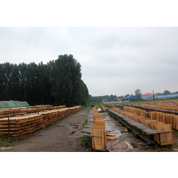 沧州覆膜板-盛大清水模板厂家-木纹覆膜板