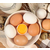 * 蛋与蛋制品检测缩略图1
