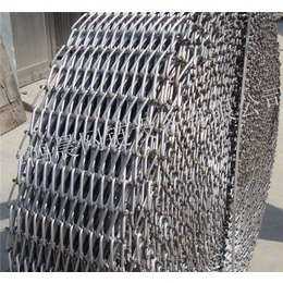 A食品级不锈钢网带厂家-陆河不锈钢网带-宁津输送网链(多图)