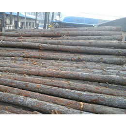 杉木桩-宣城佳拓木业有限公司-杉木桩护堤