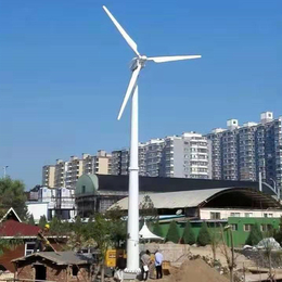 山区*300w可带家用电器微小型风力发电机