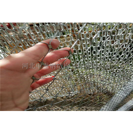 柔性钢丝绳网生产厂家-骐骏围栏(在线咨询)-陕西柔性钢丝绳网