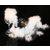 安徽鸿暖羽绒(图)-鹅绒批发价格-广州鹅绒批发缩略图1