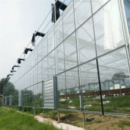 双层玻璃连体温室大棚 双层连栋大棚造价 蔬菜玻璃大棚建造