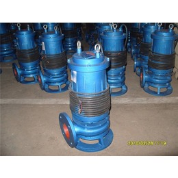 潜水排涝泵价格-程跃泵业-潜水排涝泵