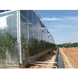 养殖大棚-科农温室承接工程-畜牧养殖大棚